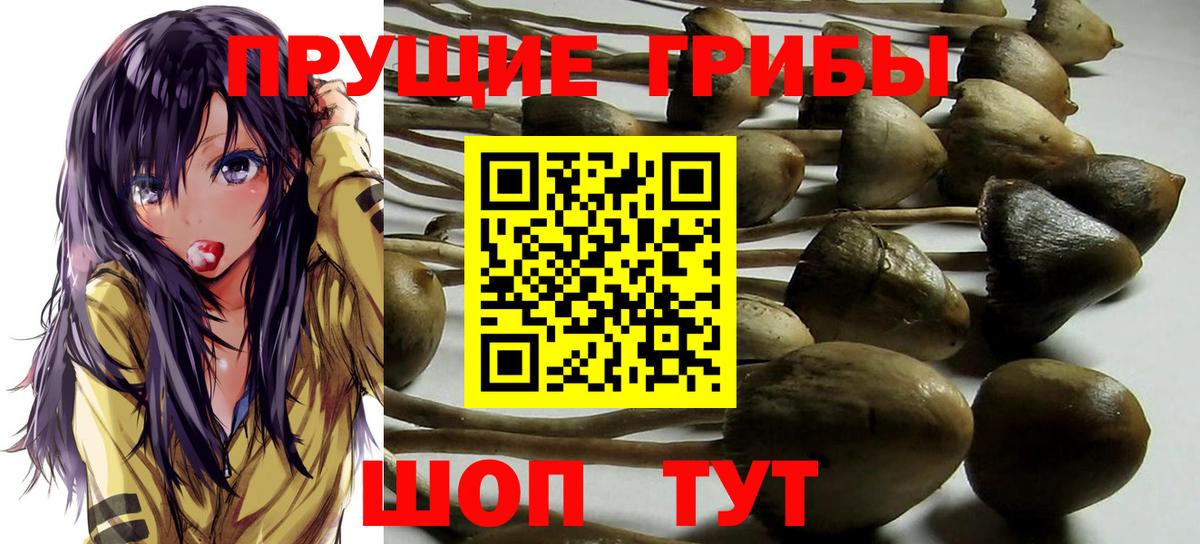Галлюциногенные грибы Magic Shrooms Саратов