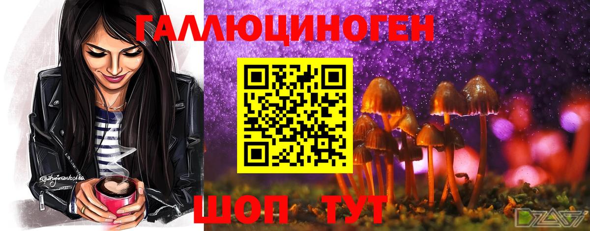 Псилоцибиновые грибы мицелий  Вход с VPN  Псилоцибиновые грибы Psilocybine cubensis  Саратов 